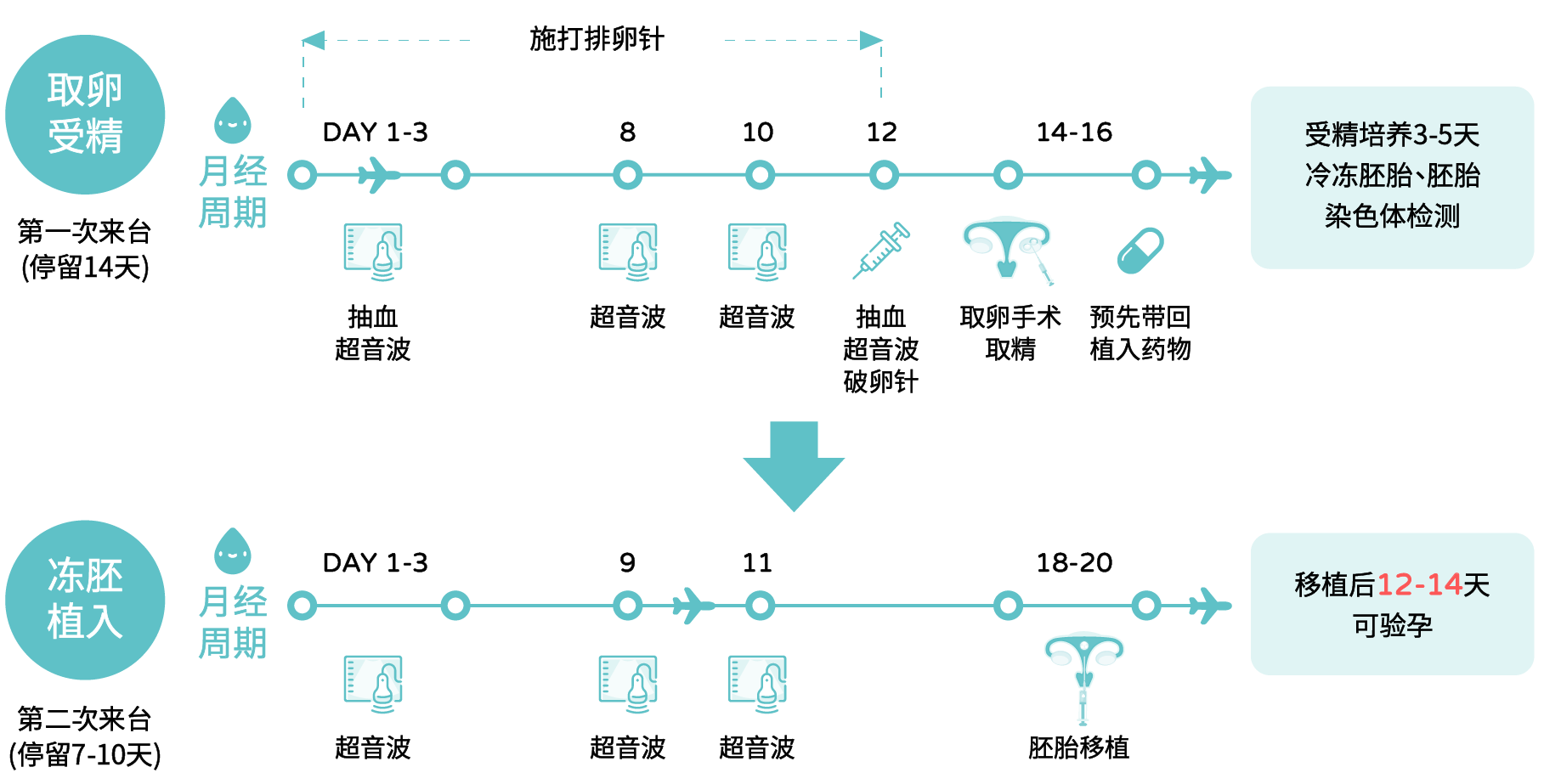 自卵疗程