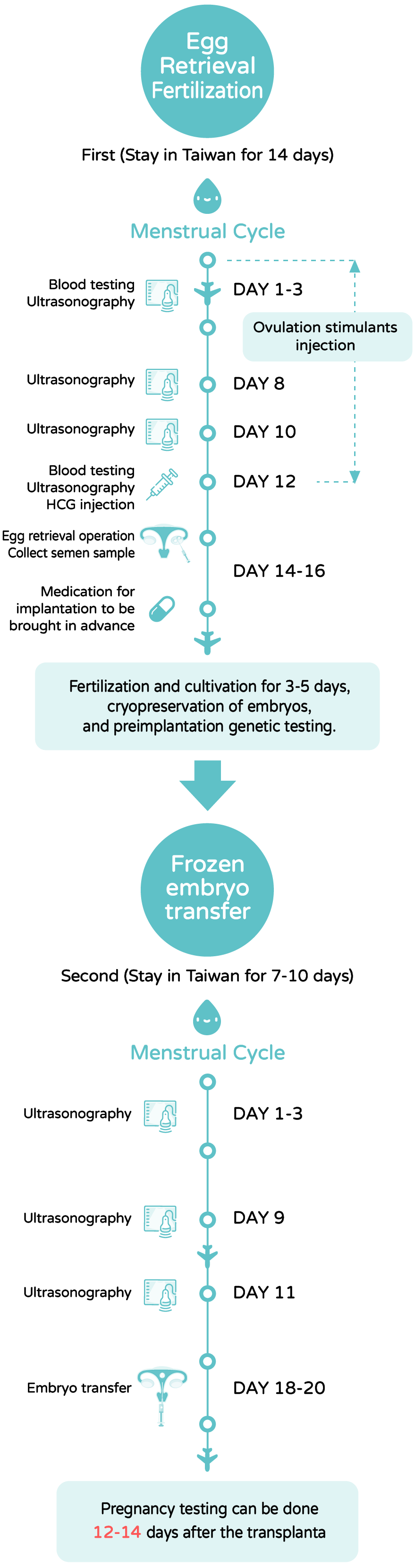 Own Eggs- In Vitro Fertilization (IVF)