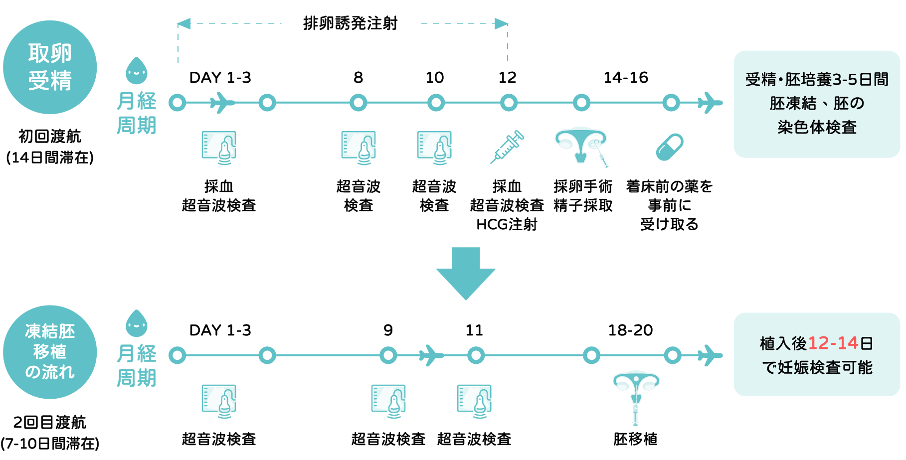 自卵療程