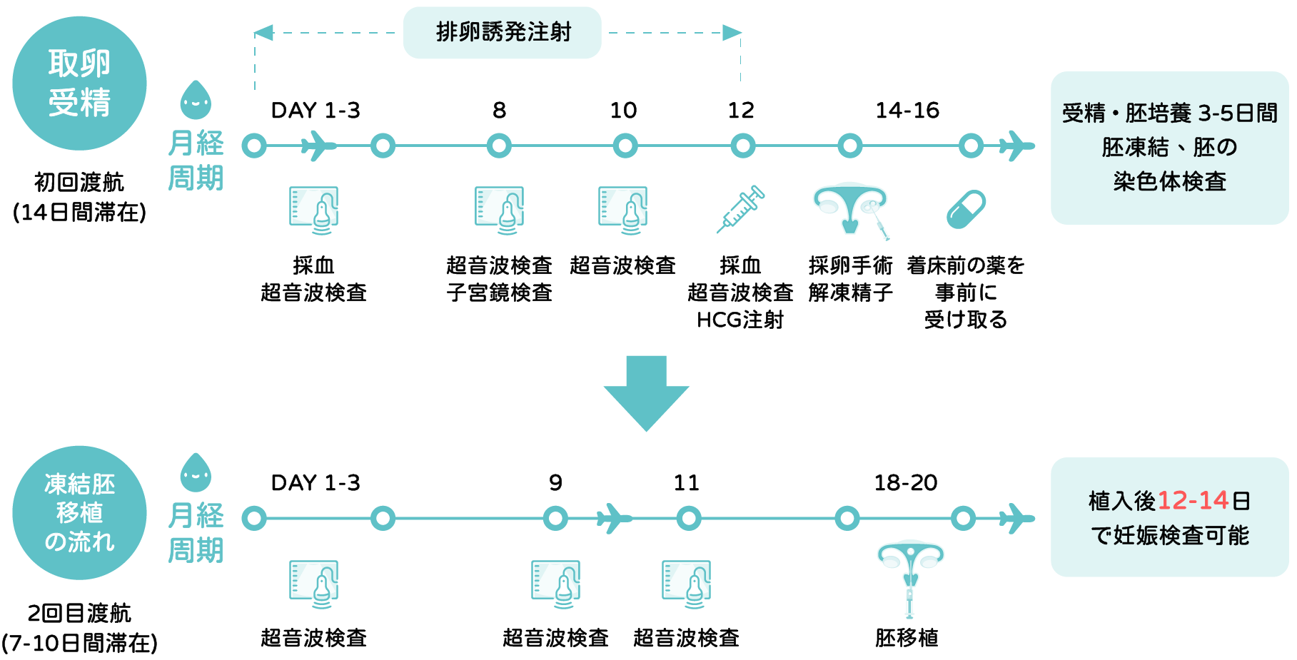 借精療程